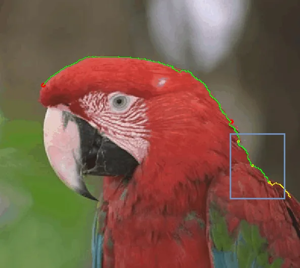 Boundary tracing on a parrot image using Intelligent Scissors